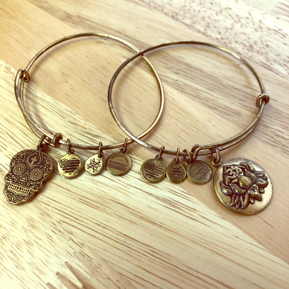 PAIR of Alex & Ani Stackable Charm Bracelets